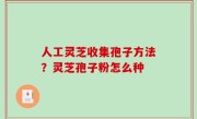 人工灵芝收集孢子方法？灵芝孢子粉怎么种