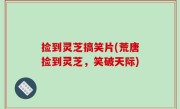 捡到灵芝搞笑片(荒唐捡到灵芝，笑破天际)