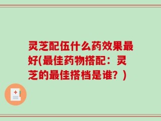 灵芝配伍什么药效果最好(最佳药物搭配：灵芝的最佳搭档是谁？)