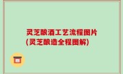 灵芝酿酒工艺流程图片(灵芝酿造全程图解)