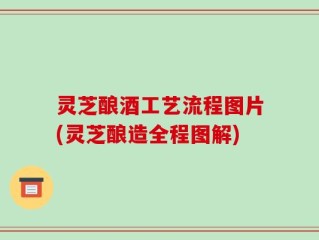 灵芝酿酒工艺流程图片(灵芝酿造全程图解)