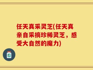 任天真采灵芝(任天真亲自采摘珍稀灵芝，感受大自然的魔力)
