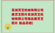 芜湖灵芝机械有限公司唐灵芝照片芜湖灵芝机械有限公司推出唐灵芝照片 新品亮相)