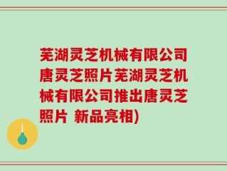 芜湖灵芝机械有限公司唐灵芝照片芜湖灵芝机械有限公司推出唐灵芝照片 新品亮相)