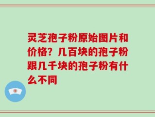 灵芝孢子粉原始图片和价格？几百块的孢子粉跟几千块的孢子粉有什么不同