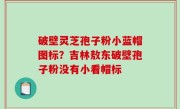 破壁灵芝孢子粉小蓝帽图标？吉林敖东破壁孢子粉没有小看帽标