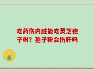 吃药伤内脏能吃灵芝孢子粉？孢子粉会伤肝吗