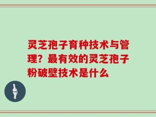 灵芝孢子育种技术与管理？最有效的灵芝孢子粉破壁技术是什么
