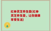 红参灵芝养生壶(红参灵芝养生壶，让你健康享受生活)