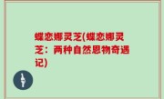 蝶恋娜灵芝(蝶恋娜灵芝：两种自然恩物奇遇记)