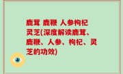 鹿茸 鹿鞭 人参枸杞灵芝(深度解读鹿茸、鹿鞭、人参、枸杞、灵芝的功效)