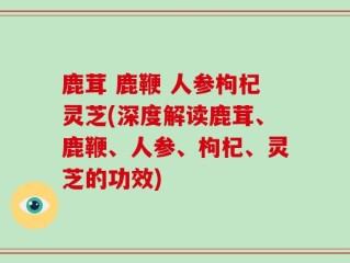 鹿茸 鹿鞭 人参枸杞灵芝(深度解读鹿茸、鹿鞭、人参、枸杞、灵芝的功效)