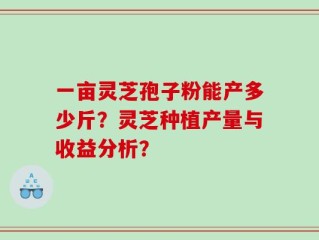 一亩灵芝孢子粉能产多少斤？灵芝种植产量与收益分析？