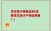 灵芝孢子哪里出的(优质灵芝孢子产地在哪里？)