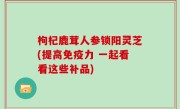 枸杞鹿茸人参锁阳灵芝(提高免疫力 一起看看这些补品)