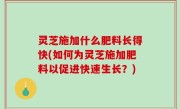 灵芝施加什么肥料长得快(如何为灵芝施加肥料以促进快速生长？)