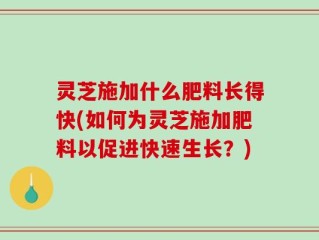 灵芝施加什么肥料长得快(如何为灵芝施加肥料以促进快速生长？)