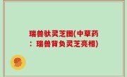 瑞兽驮灵芝图(中草药：瑞兽背负灵芝亮相)