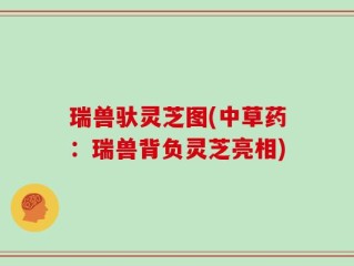 瑞兽驮灵芝图(中草药：瑞兽背负灵芝亮相)