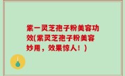 紫一灵芝孢子粉美容功效(紫灵芝孢子粉美容妙用，效果惊人！)