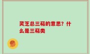 灵芝总三萜的意思？什么是三萜类