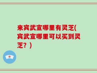 来宾武宣哪里有灵芝(宾武宣哪里可以买到灵芝？)