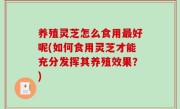 养殖灵芝怎么食用最好呢(如何食用灵芝才能充分发挥其养殖效果？)