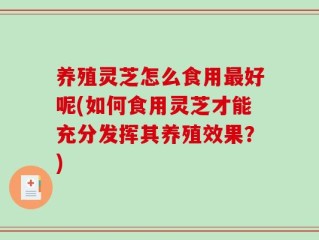 养殖灵芝怎么食用最好呢(如何食用灵芝才能充分发挥其养殖效果？)