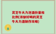 灵芝牛大力泡酒份量和比例(浓郁好喝的灵芝牛大力酒制作攻略)