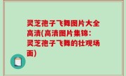 灵芝孢子飞舞图片大全高清(高清图片集锦：灵芝孢子飞舞的壮观场面)