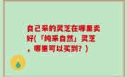 自己采的灵芝在哪里卖好(「纯采自然」灵芝，哪里可以买到？)