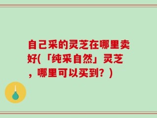 自己采的灵芝在哪里卖好(「纯采自然」灵芝，哪里可以买到？)