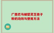 广西巴马破壁灵芝孢子粉的功效与使用方法