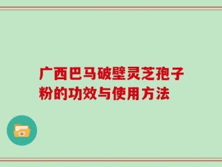 广西巴马破壁灵芝孢子粉的功效与使用方法