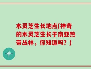木灵芝生长地点(神奇的木灵芝生长于南亚热带丛林，你知道吗？)