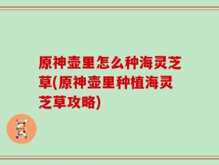 原神壶里怎么种海灵芝草(原神壶里种植海灵芝草攻略)