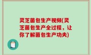 灵芝菌包生产视频(灵芝菌包生产全过程，让你了解菌包生产功夫)