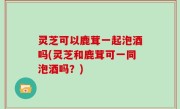 灵芝可以鹿茸一起泡酒吗(灵芝和鹿茸可一同泡酒吗？)