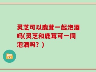 灵芝可以鹿茸一起泡酒吗(灵芝和鹿茸可一同泡酒吗？)