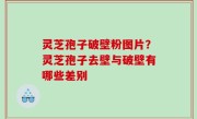 灵芝孢子破壁粉图片？灵芝孢子去壁与破壁有哪些差别