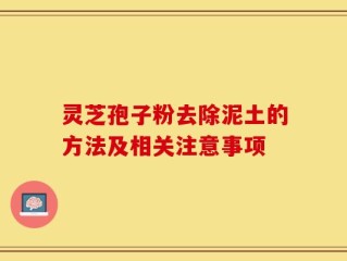 灵芝孢子粉去除泥土的方法及相关注意事项