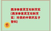 西洋参紫灵芝石斛芡实(西洋参紫灵芝石斛芡实：珍贵的中草药五子登科)