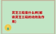 灵芝三萜是什么啊(解读灵芝三萜的功效及作用)