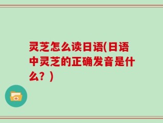 灵芝怎么读日语(日语中灵芝的正确发音是什么？)