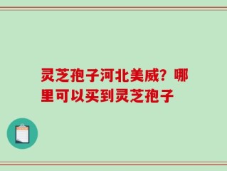 灵芝孢子河北美威？哪里可以买到灵芝孢子