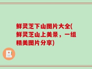 鲜灵芝下山图片大全(鲜灵芝山上美景，一组精美图片分享)