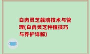 白肉灵芝栽培技术与管理(白肉灵芝种植技巧与养护详解)