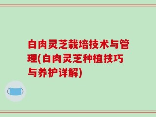 白肉灵芝栽培技术与管理(白肉灵芝种植技巧与养护详解)
