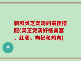 新鲜灵芝煲汤的最佳搭配(灵芝煲汤好搭桑葚、红枣、枸杞和鸡肉)