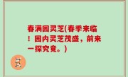 春满园灵芝(春季来临！园内灵芝茂盛，前来一探究竟。)